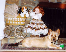 Harley (1 year old) - submitted by Brenda K.