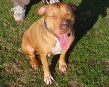 Littles - submitted by Shannon & Jane K.