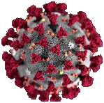 corona virus